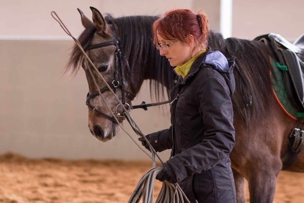 les campings pour les amateurs de sports équestres
